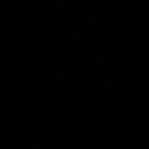 Meet your Posher, Ashton